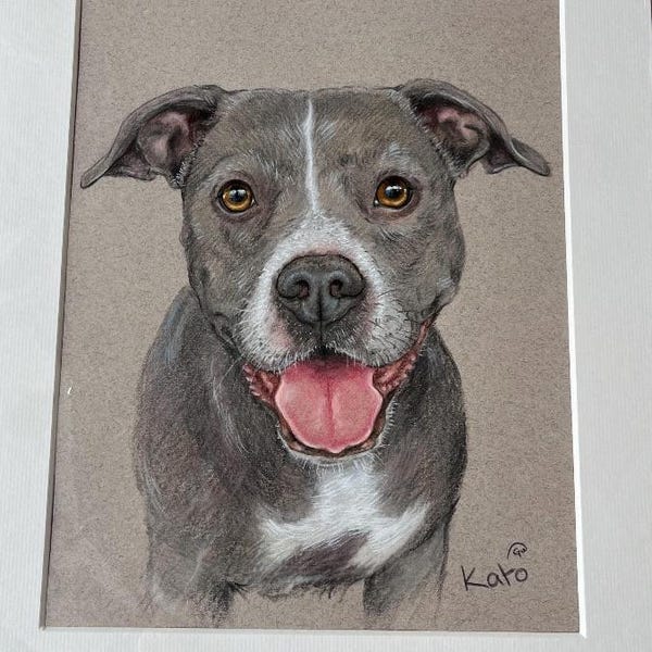 Hand Drawn Pet Portrait Custom Dog Art - Etsy