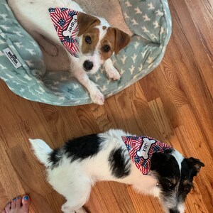 Julie added a photo of their purchase