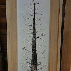 Coral added a photo of their purchase