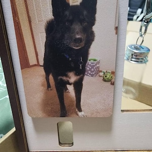 Amber added a photo of their purchase