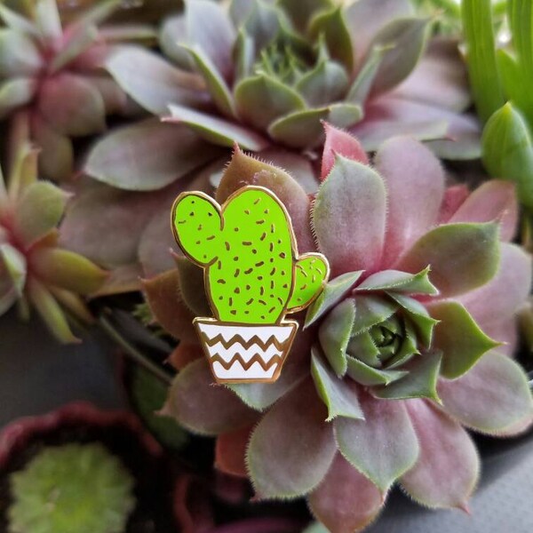 Cactus Pin - Enamel Pin - Lapel Pin - Succulent Pin - Plant Pin ...