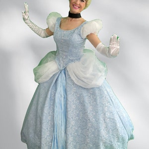 High Quality Party Entertainer Princess Dress Cinderella Blue/white ...