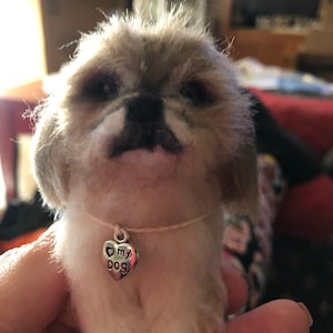 Cindy added a photo of their purchase