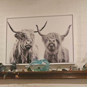 Nicky added a photo of their purchase