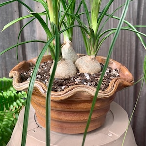 C added a photo of their purchase