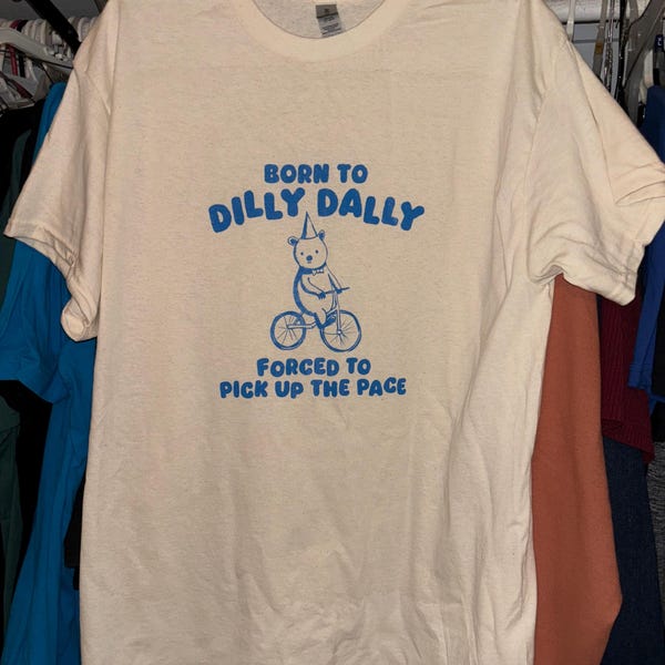 Outside I Skrrt Inside I Hurt, Raccoon T Shirt, Weird T Shirt, Meme T