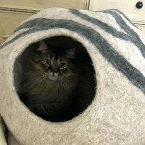 Denise added a photo of their purchase
