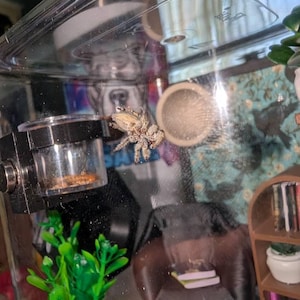 Raya added a photo of their purchase