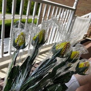 DIANE added a photo of their purchase