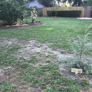 no soliciting signs for home and business no soliciting no etsy