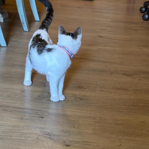 Caroline ha añadido una foto de su compra