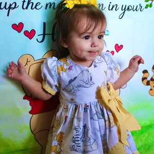 Winnie Pooh Birthday Dress, Girl Winnie the Pooh Dress, Toddler
