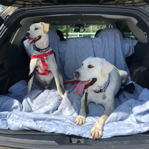 Glenn added a photo of their purchase