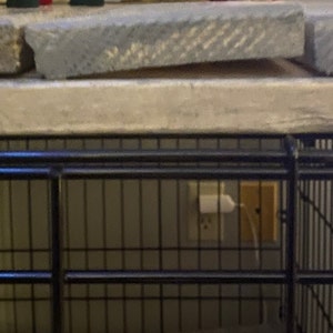 Tera added a photo of their purchase