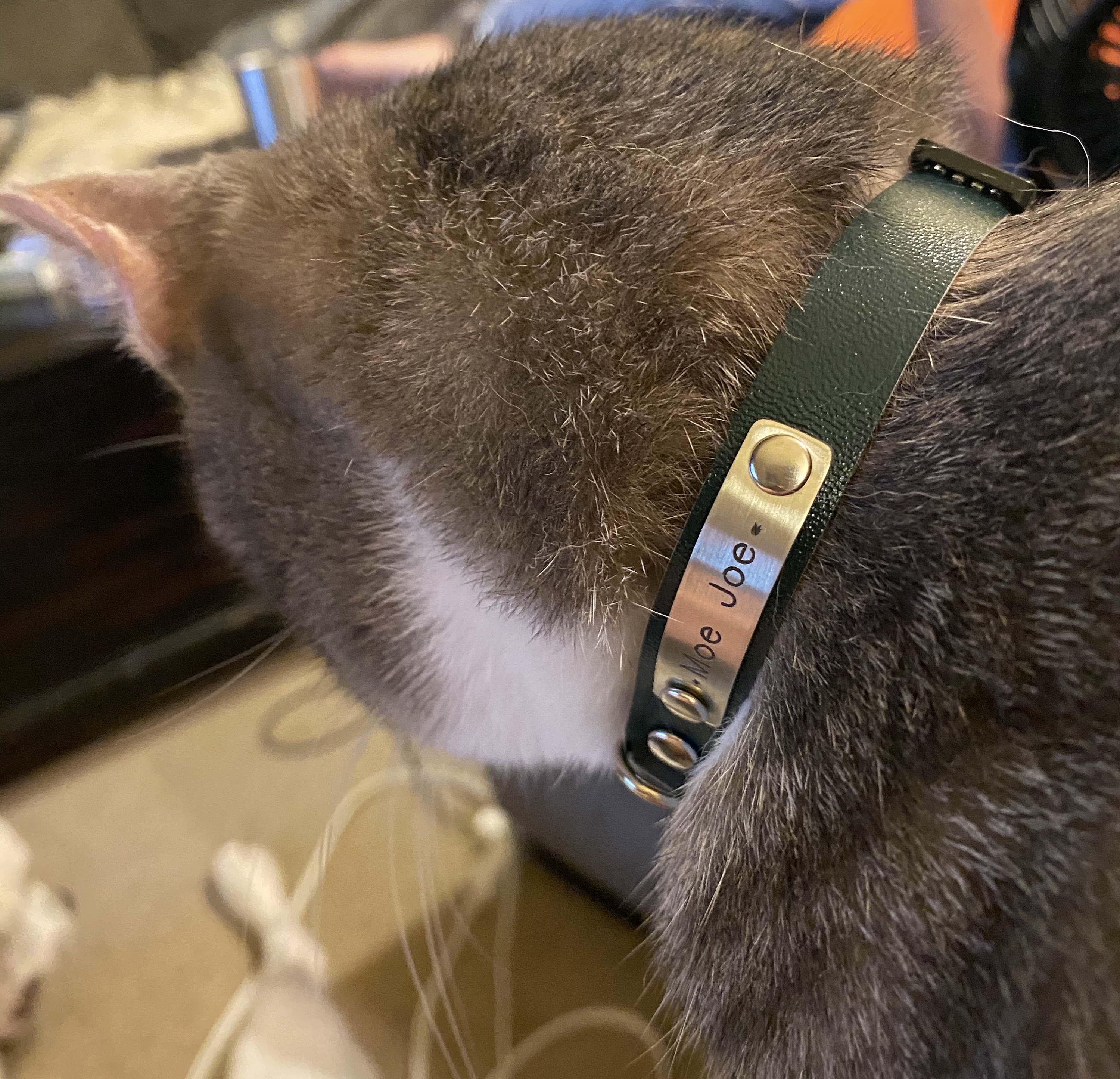 Soft Leather Cat collar, Cat Collar, Thin Leather Collar, Personalized