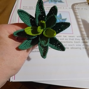 Debby さんが購入した商品の写真を追加しました