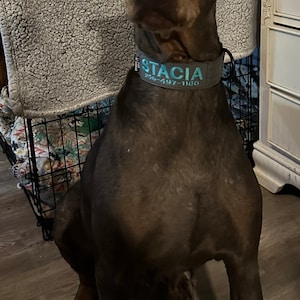 Laila added a photo of their purchase