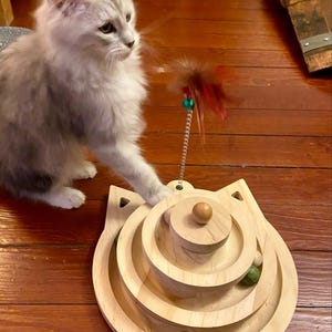 Alina added a photo of their purchase