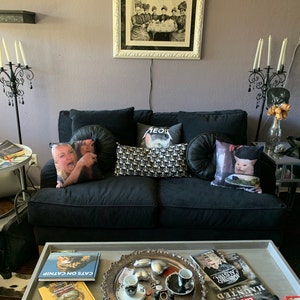 perfectly sane cat lady pillow