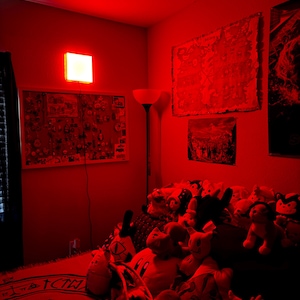 Kimberly heeft een foto van zijn/haar aankoop toegevoegd