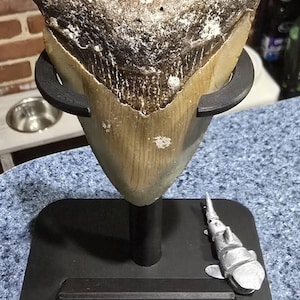 Amanda さんが購入した商品の写真を追加しました