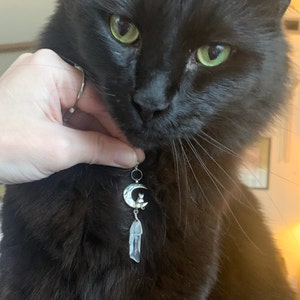 fatsiamesekitty added a photo of their purchase