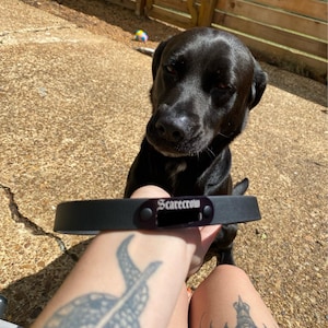 Madison added a photo of their purchase