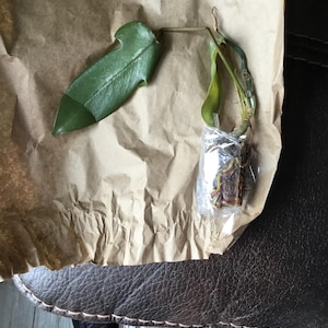 Kim added a photo of their purchase