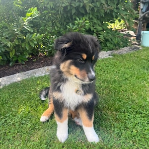 Carina added a photo of their purchase