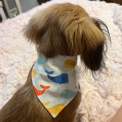 easter dog bow tie