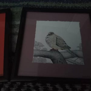 Tammy added a photo of their purchase
