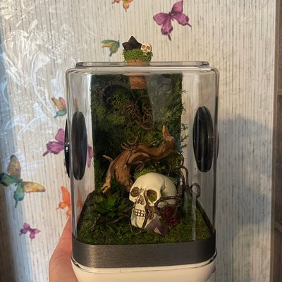 Made to Order Custom Themed Jumping Spider Enclosure - Etsy