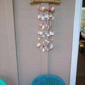 Handmade exotic seashell windchimes