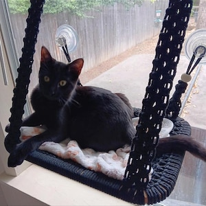 Jody added a photo of their purchase