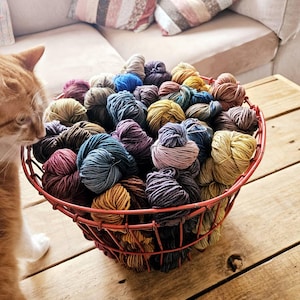 Beth added a photo of their purchase