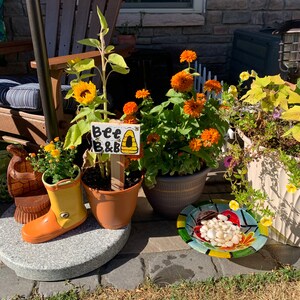 Kathy added a photo of their purchase