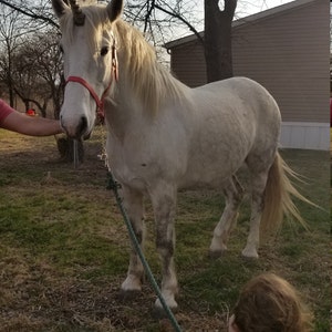 Casey added a photo of their purchase
