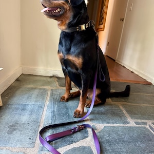 Mango added a photo of their purchase