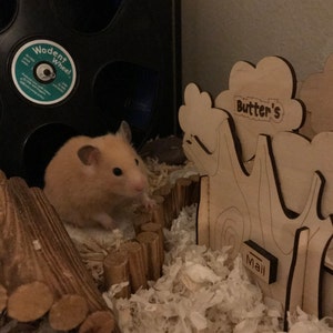 Melissa ha añadido una foto de su compra