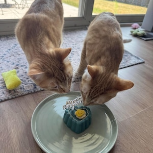 Savannah added a photo of their purchase
