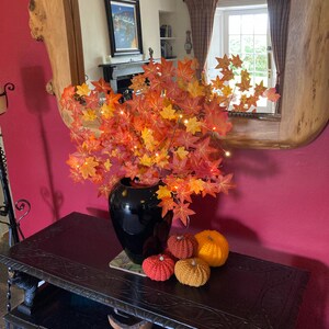 HILARY added a photo of their purchase