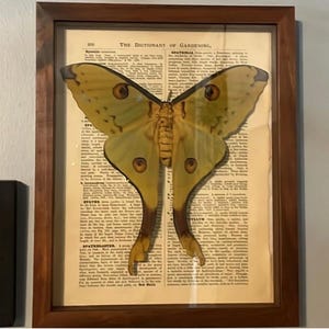 Angel added a photo of their purchase
