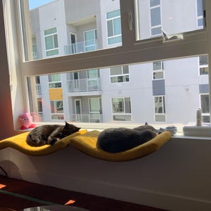 Blair added a photo of their purchase