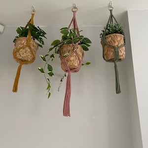 Laura ha aggiunto una foto del proprio acquisto