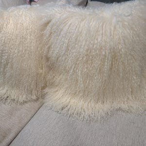 Bella added a photo of their purchase