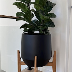 Julia added a photo of their purchase