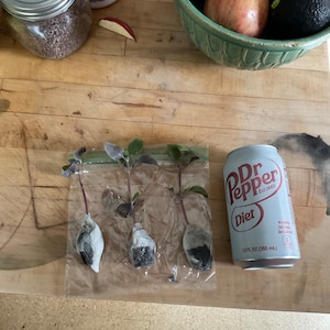 janet added a photo of their purchase