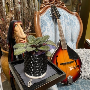 Stone added a photo of their purchase