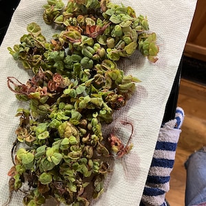 Taylor added a photo of their purchase