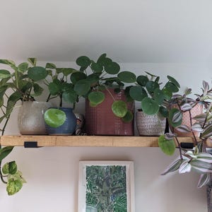 Imogen heeft een foto van de aankoop toegevoegd